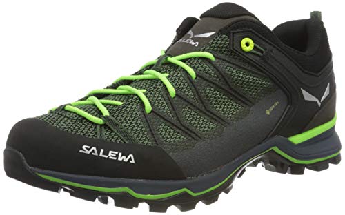 Salewa Mountain Trainer Lite Gore-Tex Herren...